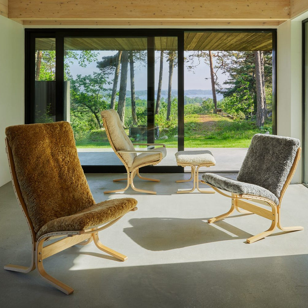 Siesta Ovis - Maple